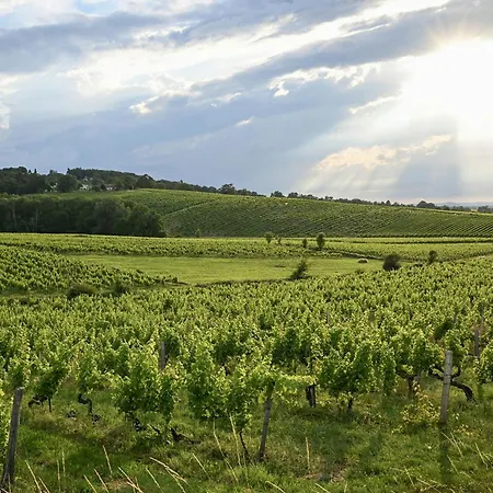 Le Grand Rue Signature - Coeur De Ville, Rue Pietonne * Bergerac